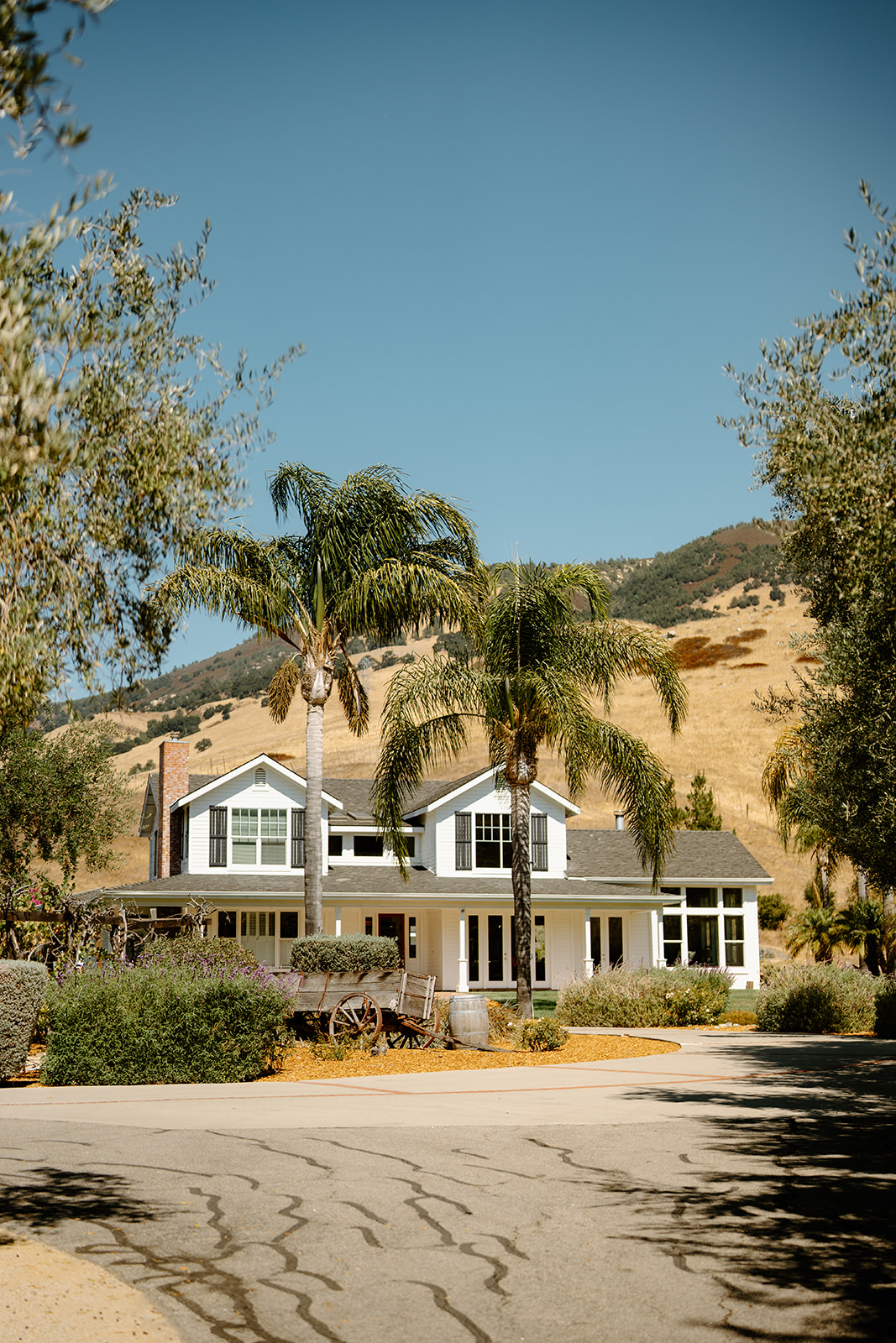 Main white house with palm trees at Higuera Ranch, San Luis Obispo CA, photography by Cobblestone