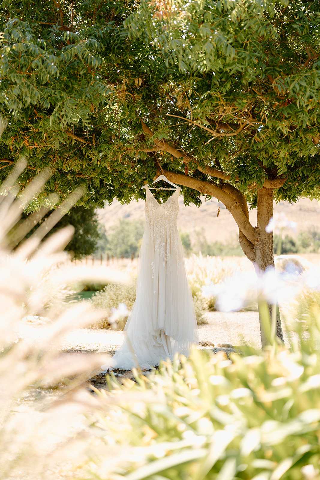 Wedding Dress hanging at Higuera Ranch, San Luis Obispo CA, photography by Cobblestone