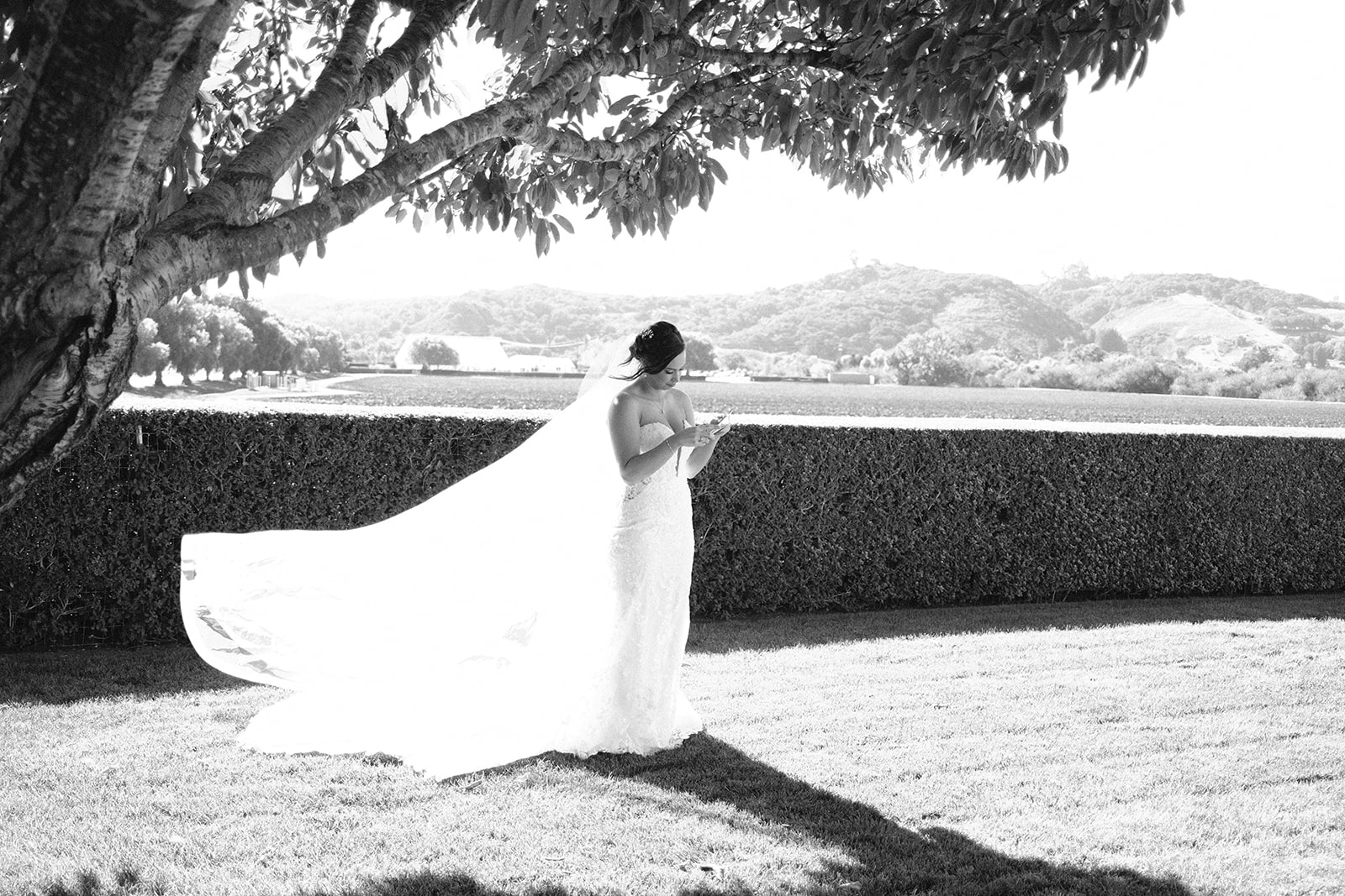 Bride reads letter from groom at The White Barn in San Luis Obispo CA, photography by Cobblestone